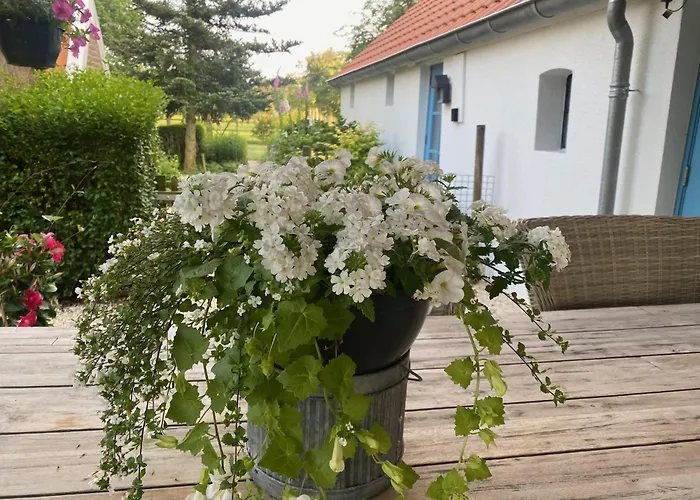 B&B Vinkeling