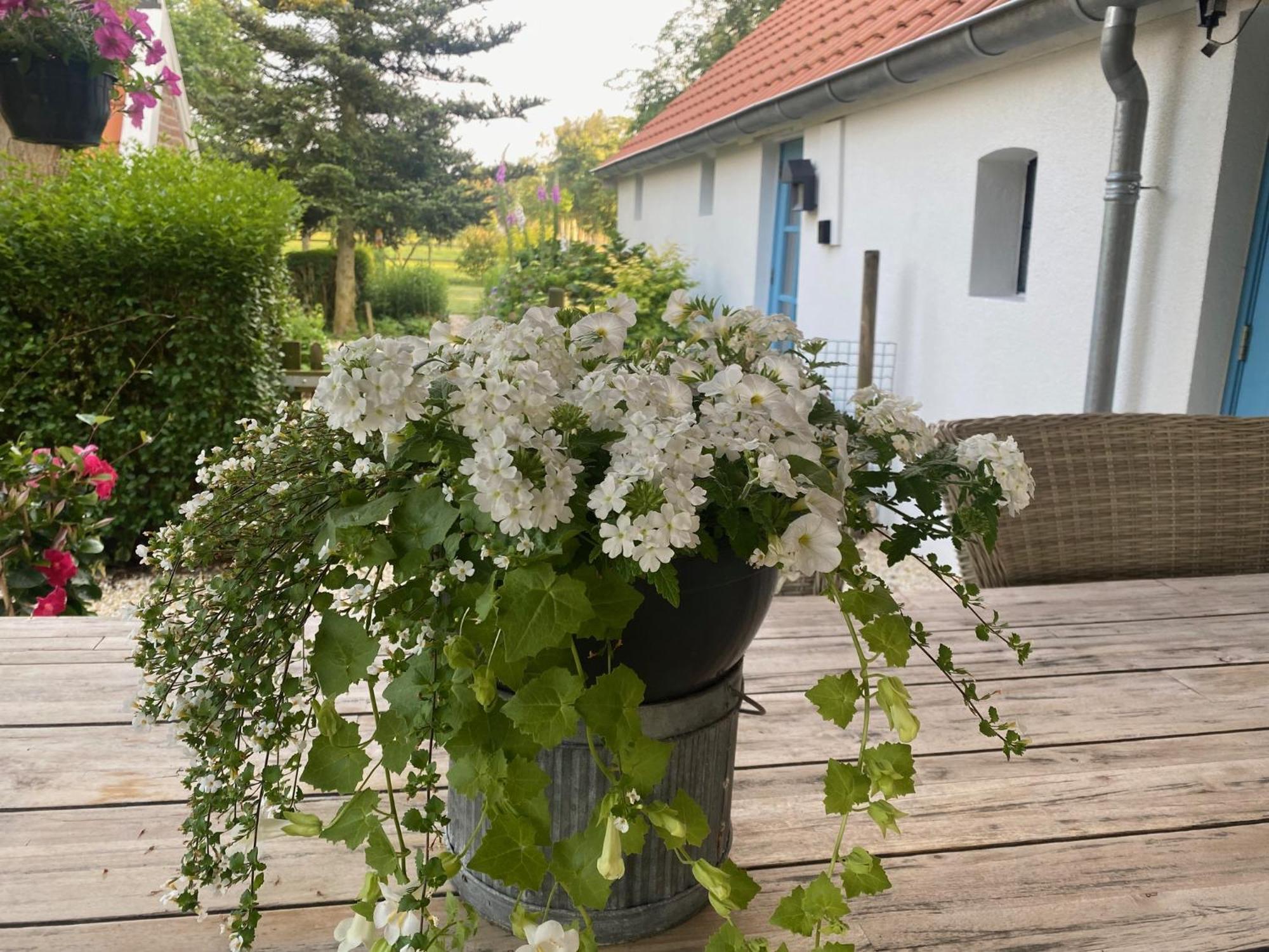 Vinkeling